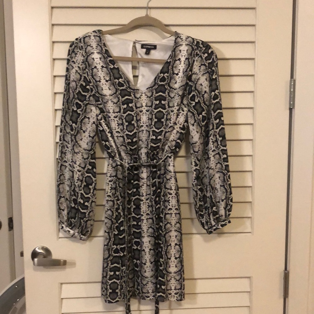 Express Snakeskin Dress
